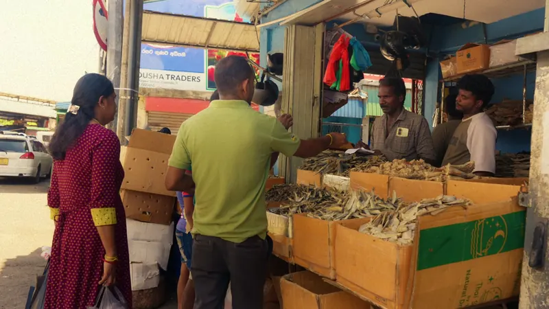 A dried fish stall at a Colombo market