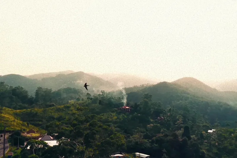 Morning mist and wood smoke over the hills of Ella